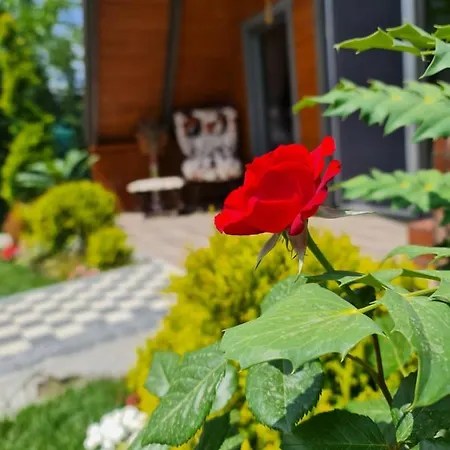 Sapancahayalbungalow *
